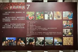 到南博会，了解云南咖啡的故事图片