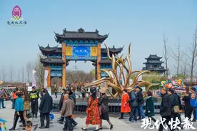 盐城4万株桃花梨花竞相盛放，美不胜收图片