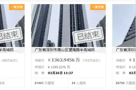 超8万人次围观！深圳豪宅法拍房火了，业内：市场热度或进一步被激发图片