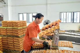 京东智慧物流港开园在即 助力邓州产业发展绘就新蓝图图片