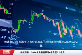 神州信息：2024年净利润预亏4亿元至5.5亿元视频封面
