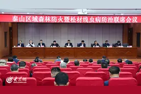 泰山区域森林防火暨松材线虫病防治联席会议在泰安召开图片