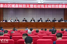 泰山区域森林防火暨松材线虫病防治联席会议在泰安召开图片