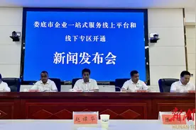 全省首个！娄底市企业一站式服务平台正式开通图片