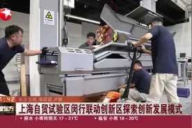 上海自贸试验区闵行联动创新区探索创新发展模式 培育高能级贸易主体 打造高端智能制造新引擎视频封面