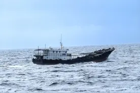 查获非法捕捞渔获物2300余公斤！茂名海警严打涉渔违法犯罪图片