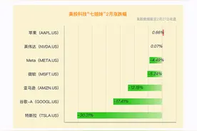 一图读懂 | 中国资产“十巨头”Vs 美股“七姐妹”图片