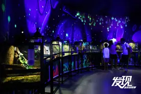 发现丨曲江海洋极地公园焕新升级 “深海奇幻季”扮靓“暑期”图片