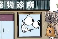 猫咪养了五个月，在宠物医院花费过万了图片