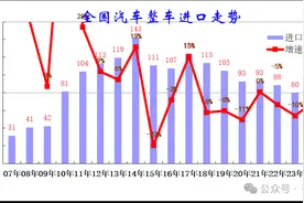 2024年上半年中国汽车进口量同比下降4%，乘用车占主导地位图片