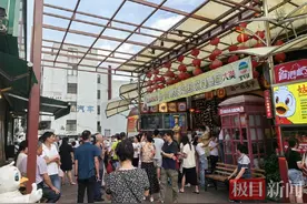 深中通道开通一月：中山被外地游客“占领”，泼天流量为乳鸽而来图片