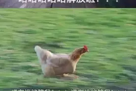 见证奇迹的时刻又到了！网友：仿佛看到了从前的我……图片