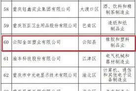 2024年重庆制造业民营企业100强新鲜出炉！云阳2家企业上榜→图片