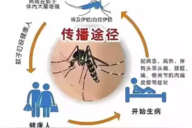 广州一周新增437例登革热病例！近期首现重症！警惕这种传染病图片