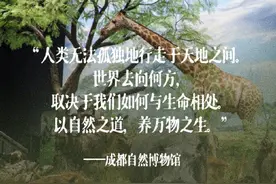 文字的力量！那些落笔即封神的博物馆结语图片