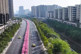 又到春花烂漫时｜春色迷人眼 一路繁花一路景图片