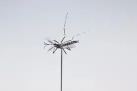 被蚊子咬了怎么办？医生教你三步能快速止痒消肿！图片