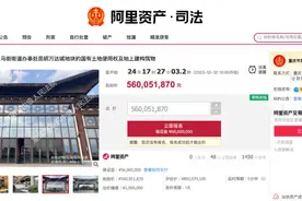 起拍价5.6亿余元 融创文旅城一地块和地上建筑将被拍卖图片