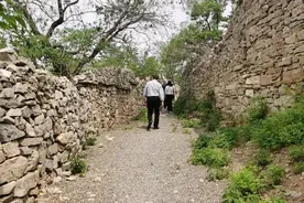 谁不说咱家乡好|时光静好，搭岭古村的韵味图片
