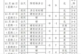 请注意！沈阳发布寒潮黄色预警！“跳水式”大降温来了！图片