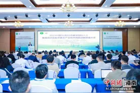 2023中国（海南）绿色建筑国际大会举办图片