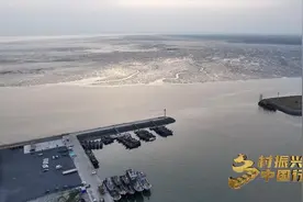 乡村振兴中国行丨碱地柿子年产值超2亿元，盘锦走出多模式融合致富路图片