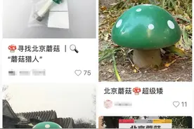 北京街头2米高神秘“蘑菇”，你见过吗？网友大胆猜想……图片