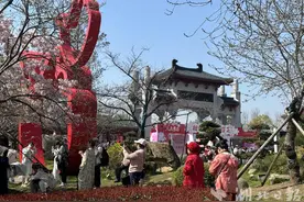 “上午维港吃早茶，下午东湖赏樱花”  境外游客来武汉赏樱：武汉！爱了！图片