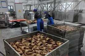 【2024甘肃生态环保行】静宁：产业生态协同并进 推动县域经济高质量发展图片