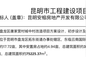 昆十中旁，昆明这个城中村将改造！图片