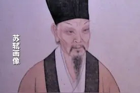 四川眉山公布重大考古发现：确认苏东坡家族墓地，苏轼孙子、曾孙墓现身图片