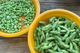 新民随笔｜未觉毛豆绽秋花图片