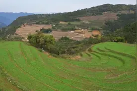 巫山40万亩高标准农田建成 路通田好效益高农民乐开怀图片