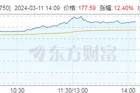 摩根士丹利上调评级及目标价，宁德时代暴涨超14%图片