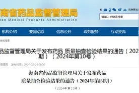 海南省药品监督管理局关于发布药品质量抽查检验结果的通告（2024年第四期）图片