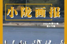 【小陇画报·275期】敦煌：守护大美湿地  绘就生态画卷图片