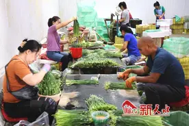 武山县：打造“甘味”品牌强农引擎图片
