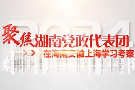 向琼皖沪学什么丨黄东红：学习运用先进经验 在打造“三个高地”上持续用力图片