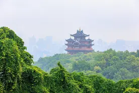浙江杭州西湖边“绿野仙踪”吸引市民前来打卡图片