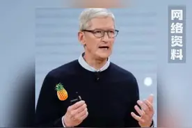 苹果公司申请注册了多个“PINEAPPLE”商标图片