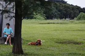 雨又要来了，周五起广州降雨渐趋频繁图片