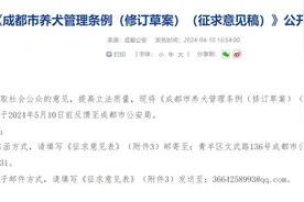 成都市民反映烂尾楼处野狗泛滥，警方：持续对辖区流浪犬开展收容整治图片
