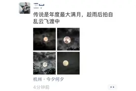 超级大！昨晚，浙江人刷屏了图片