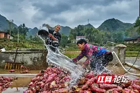 都是老手艺！ 慈利县岩泊渡镇上的匠人们图片
