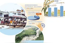 “大米出口禁令”引发全球粮价上涨图片