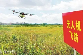 三五分钟一亩地，厦门农业无人机“飞播”“飞防”现场演示活动举办图片
