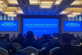 2025年中国广西与越南边境四省农业农村厅长联席会议在南宁市举办图片