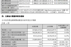 仲景食品2024年上半年业绩稳健增长 电商渠道销售大幅增长图片