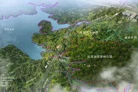 东莞松山湖⇋深圳光明最快仅20分钟 这条双科学城通道建设有新进展图片