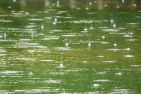 “五一”假期开场就是强雷雨，整个假期广东都是雨图片